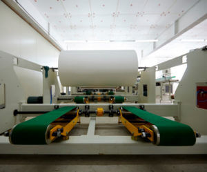 завод туалетной бумаги производство основы