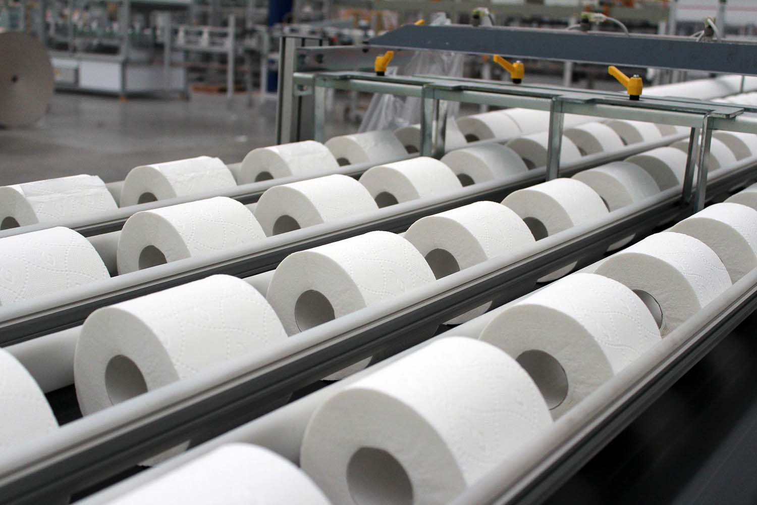 производство туалетной бумаги